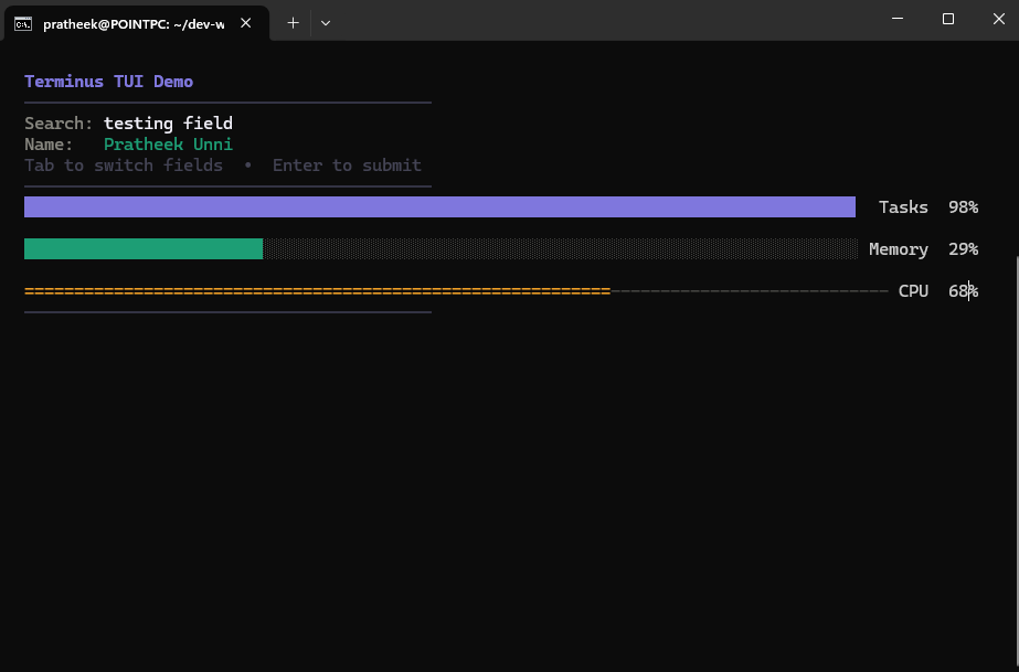Terminus progress bars and text fields