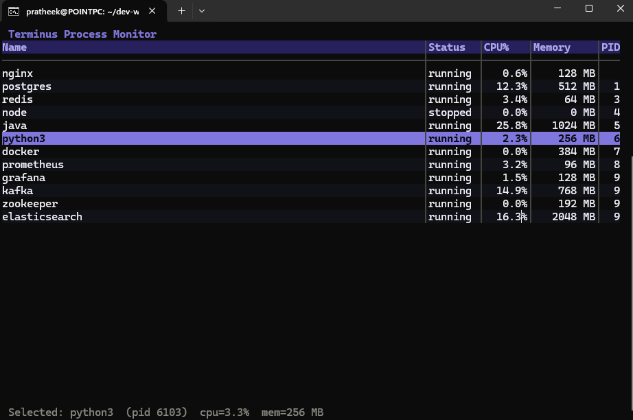 Terminus process monitor demo